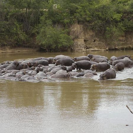 Ngerende Island Lodge (Adults Only) Maasai Mara Exterior photo
